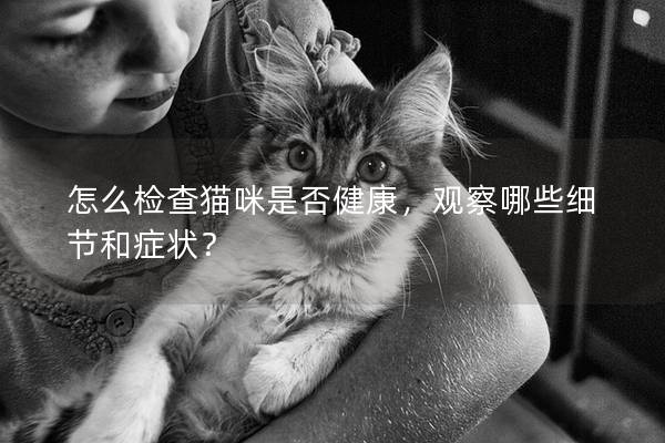 怎么检查猫咪是否健康，观察哪些细节和症状？