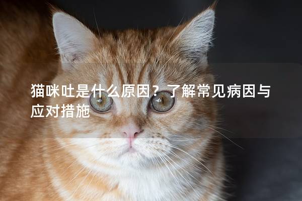 猫咪吐是什么原因？了解常见病因与应对措施