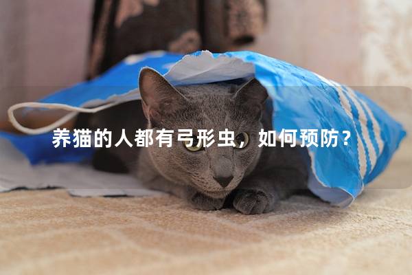 养猫的人都有弓形虫，如何预防？