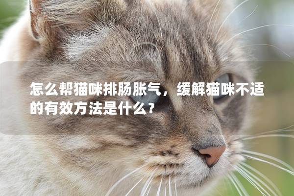 怎么帮猫咪排肠胀气，缓解猫咪不适的有效方法是什么？