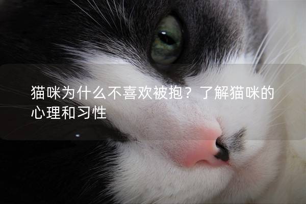 猫咪为什么不喜欢被抱？了解猫咪的心理和习性