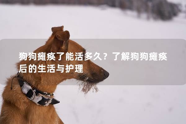 狗狗瘫痪了能活多久？了解狗狗瘫痪后的生活与护理