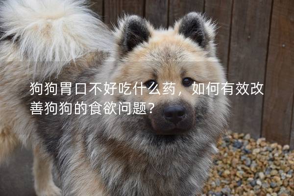 狗狗胃口不好吃什么药，如何有效改善狗狗的食欲问题？