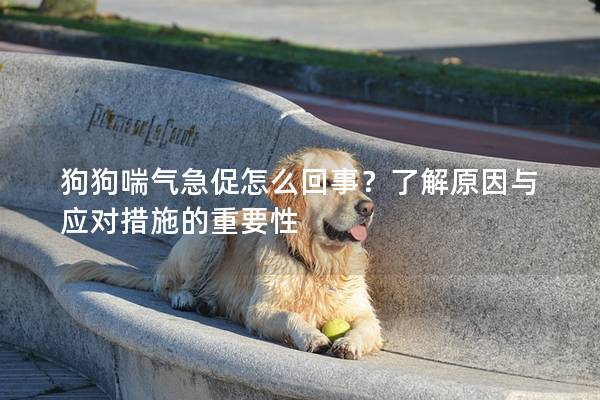 狗狗喘气急促怎么回事？了解原因与应对措施的重要性