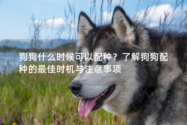 狗狗什么时候可以配种？了解狗狗配种的最佳时机与注意事项