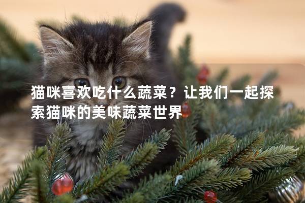 猫咪喜欢吃什么蔬菜？让我们一起探索猫咪的美味蔬菜世界