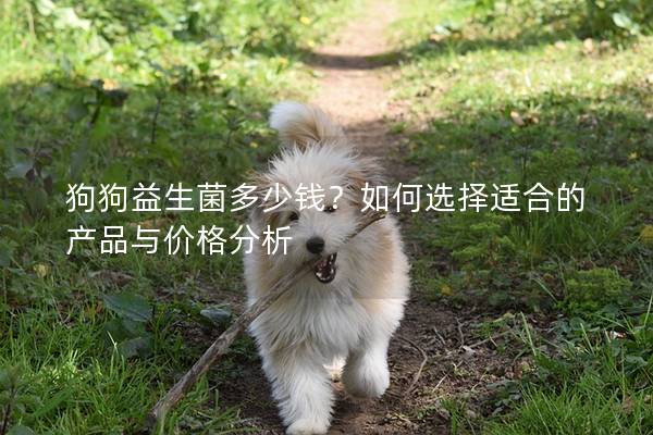 狗狗益生菌多少钱？如何选择适合的产品与价格分析