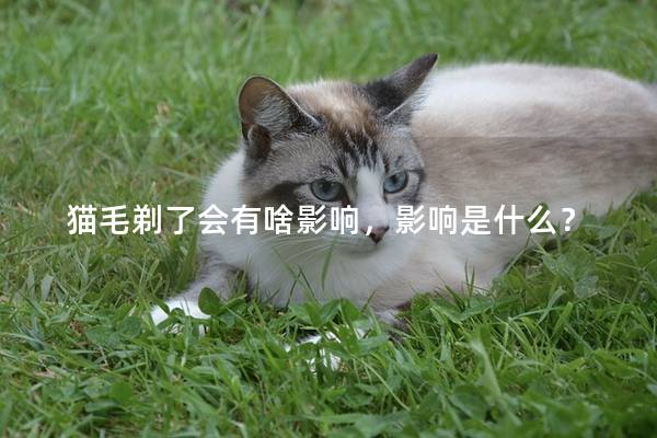 猫毛剃了会有啥影响，影响是什么？