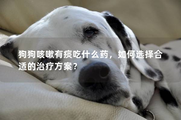 狗狗咳嗽有痰吃什么药，如何选择合适的治疗方案？