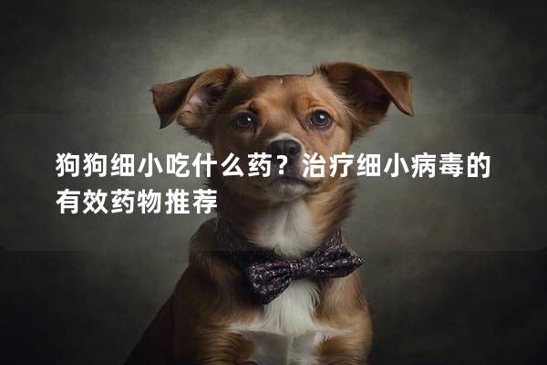 狗狗细小吃什么药？治疗细小病毒的有效药物推荐