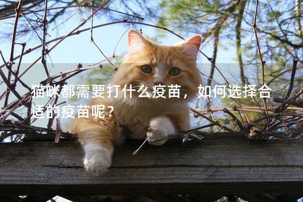 猫咪都需要打什么疫苗，如何选择合适的疫苗呢？