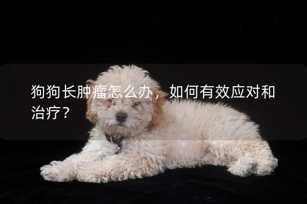 狗狗长肿瘤怎么办，如何有效应对和治疗？