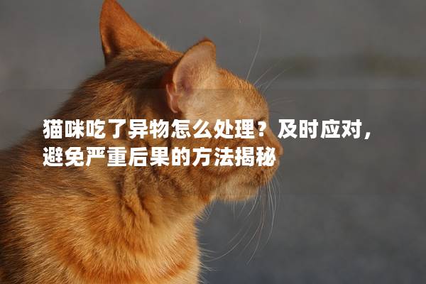 猫咪吃了异物怎么处理？及时应对，避免严重后果的方法揭秘