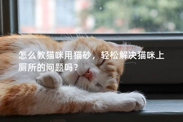 怎么教猫咪用猫砂，轻松解决猫咪上厕所的问题吗？