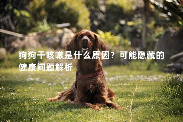 狗狗干咳嗽是什么原因？可能隐藏的健康问题解析