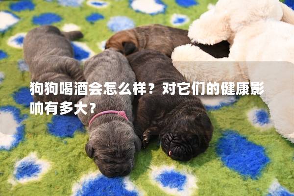 狗狗喝酒会怎么样？对它们的健康影响有多大？