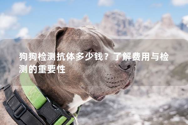 狗狗检测抗体多少钱？了解费用与检测的重要性