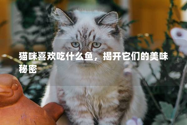 猫咪喜欢吃什么鱼，揭开它们的美味秘密