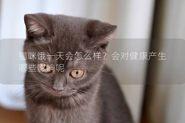 猫咪饿一天会怎么样？会对健康产生哪些影响呢