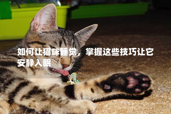 如何让猫咪睡觉，掌握这些技巧让它安静入眠