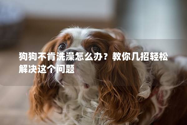 狗狗不肯洗澡怎么办？教你几招轻松解决这个问题