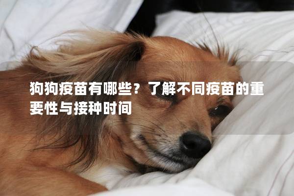 狗狗疫苗有哪些？了解不同疫苗的重要性与接种时间