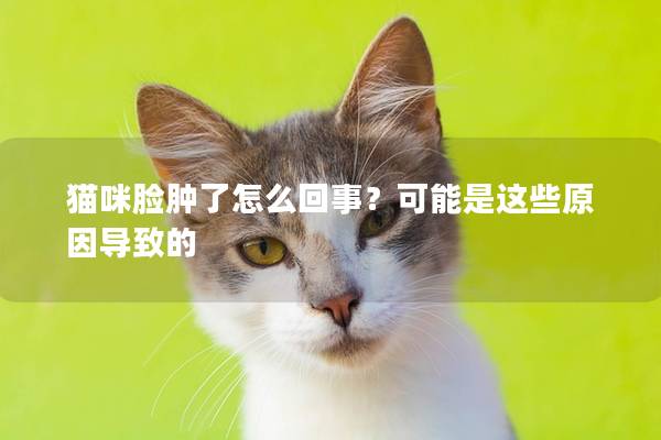 猫咪脸肿了怎么回事？可能是这些原因导致的