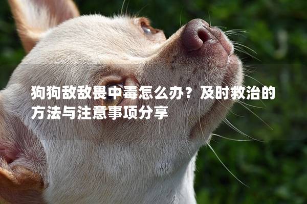 狗狗敌敌畏中毒怎么办？及时救治的方法与注意事项分享