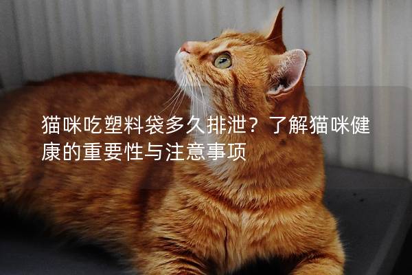 猫咪吃塑料袋多久排泄？了解猫咪健康的重要性与注意事项