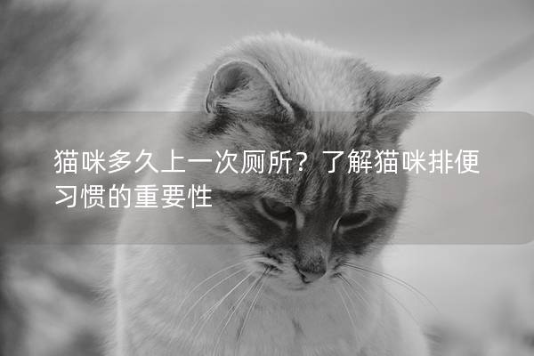 猫咪多久上一次厕所？了解猫咪排便习惯的重要性