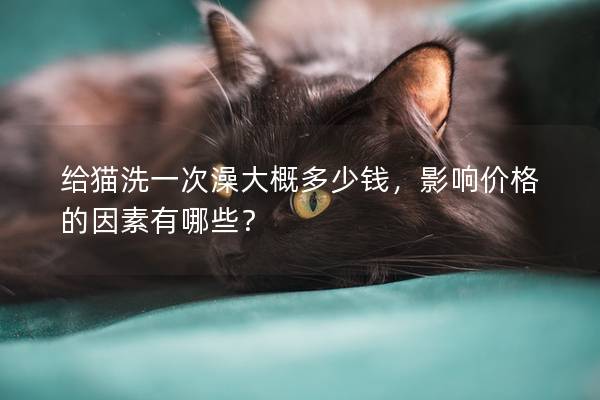 给猫洗一次澡大概多少钱，影响价格的因素有哪些？