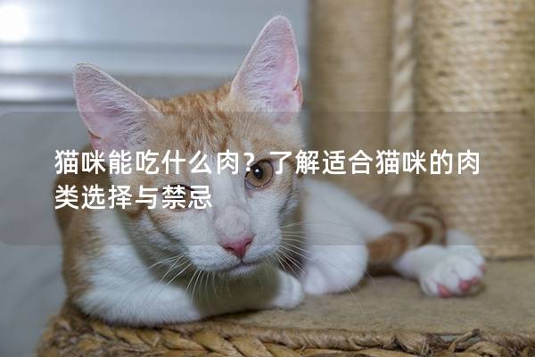 猫咪能吃什么肉？了解适合猫咪的肉类选择与禁忌