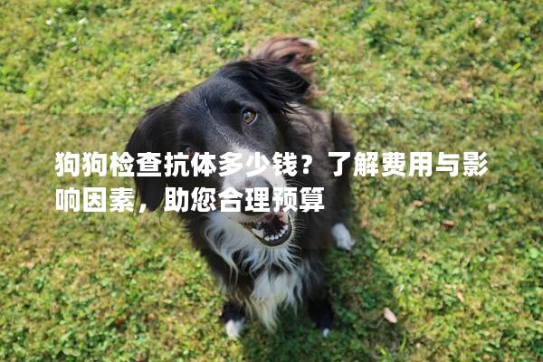 狗狗检查抗体多少钱？了解费用与影响因素，助您合理预算