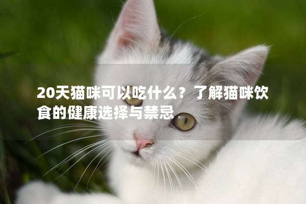 20天猫咪可以吃什么？了解猫咪饮食的健康选择与禁忌