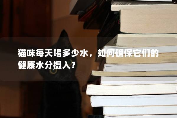 猫咪每天喝多少水，如何确保它们的健康水分摄入？