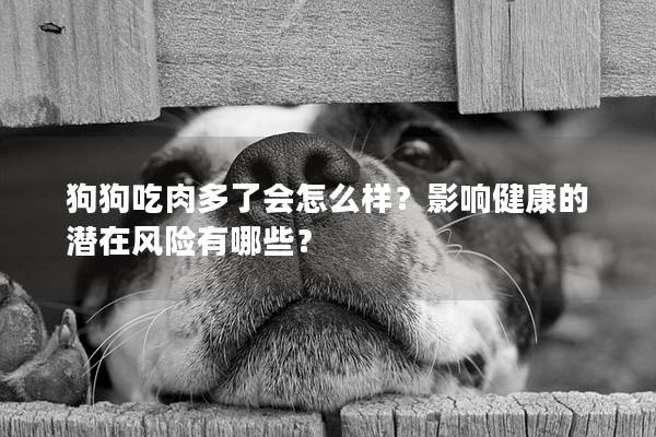 狗狗吃肉多了会怎么样？影响健康的潜在风险有哪些？