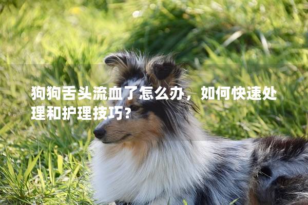 狗狗舌头流血了怎么办，如何快速处理和护理技巧？