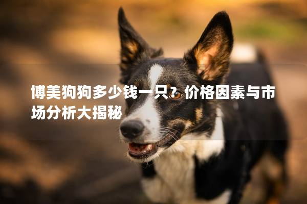 博美狗狗多少钱一只？价格因素与市场分析大揭秘