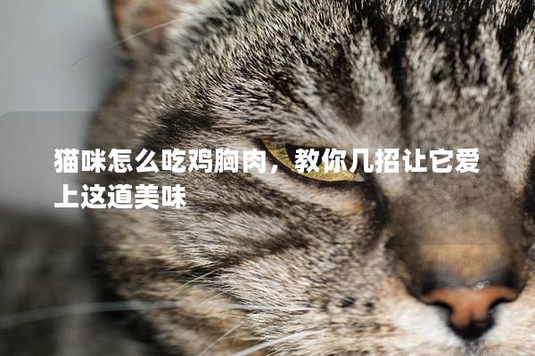 猫咪怎么吃鸡胸肉，教你几招让它爱上这道美味