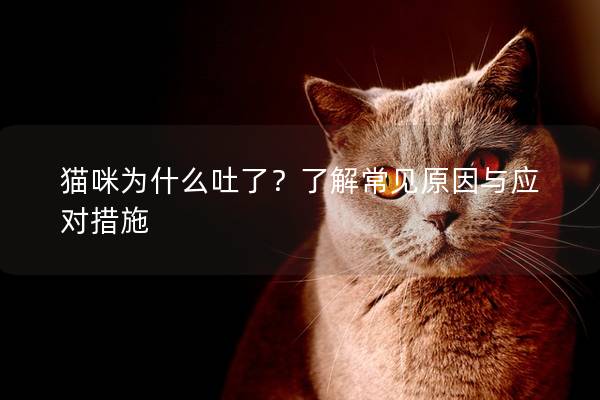 猫咪为什么吐了？了解常见原因与应对措施