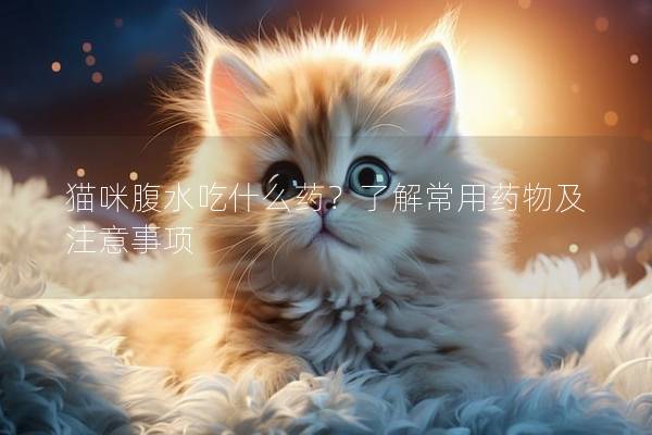 猫咪腹水吃什么药？了解常用药物及注意事项