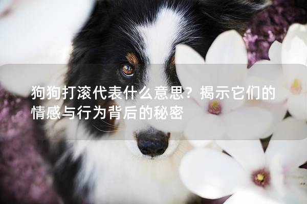 狗狗打滚代表什么意思？揭示它们的情感与行为背后的秘密