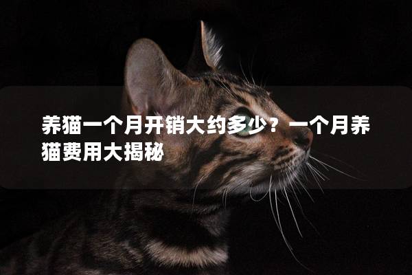 养猫一个月开销大约多少？一个月养猫费用大揭秘