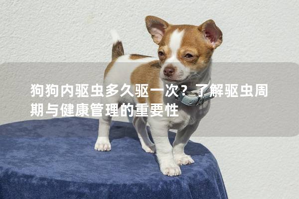 狗狗内驱虫多久驱一次？了解驱虫周期与健康管理的重要性