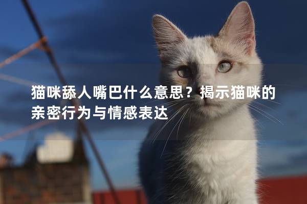 猫咪舔人嘴巴什么意思？揭示猫咪的亲密行为与情感表达