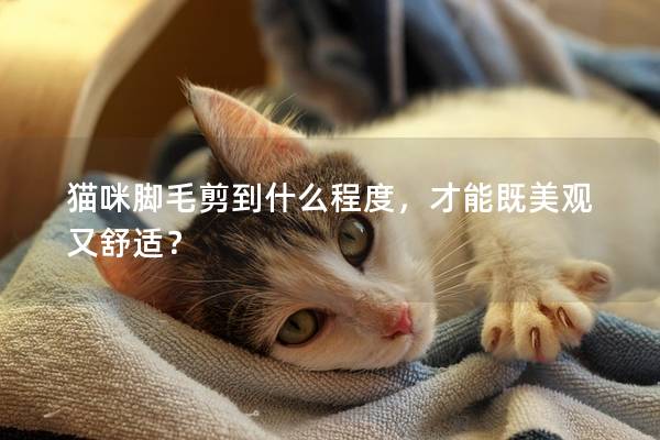 猫咪脚毛剪到什么程度，才能既美观又舒适？