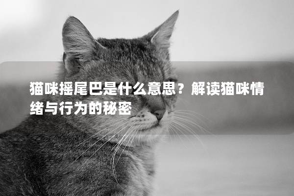 猫咪摇尾巴是什么意思？解读猫咪情绪与行为的秘密