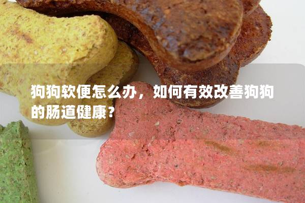 狗狗软便怎么办，如何有效改善狗狗的肠道健康？