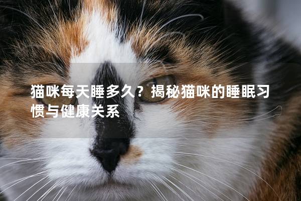 猫咪每天睡多久？揭秘猫咪的睡眠习惯与健康关系