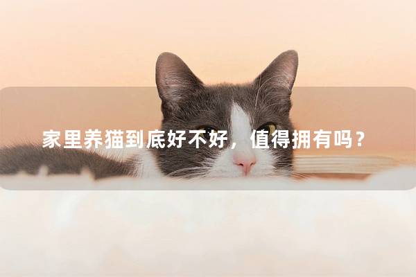 家里养猫到底好不好，值得拥有吗？